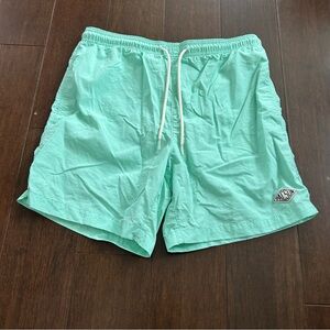 PacSun Light Green Swim Shorts